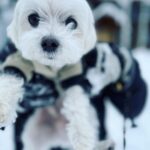 Ana de Armas Instagram - ☃️🤍
