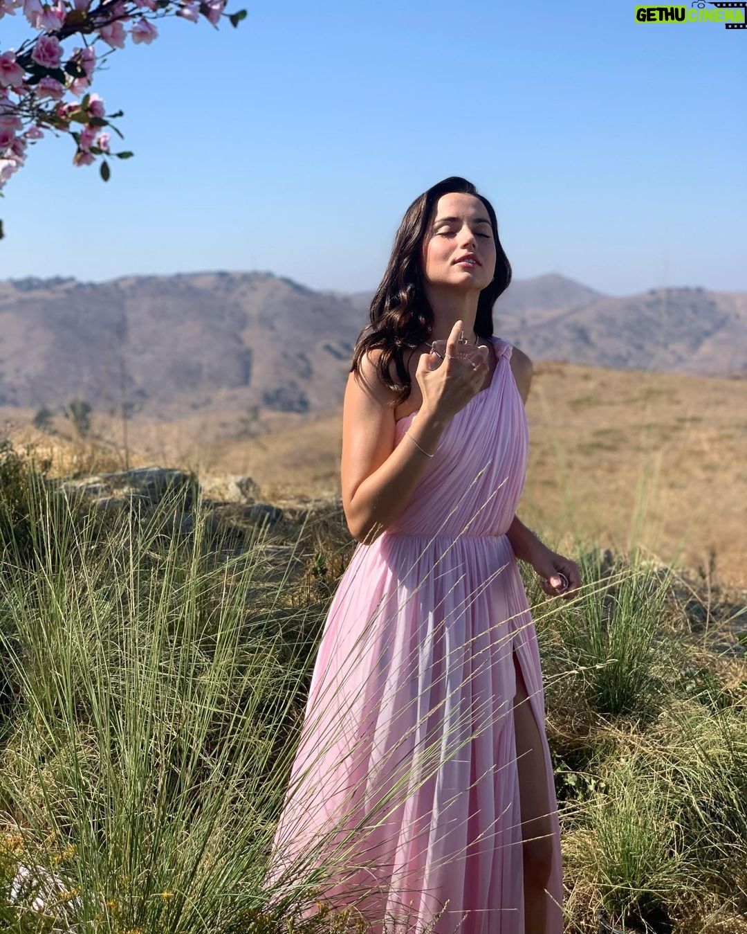 Ana de Armas Instagram - Take me back 🌸 #BeautifulMagnolia @esteelauder #EsteeGlobalAmbassador