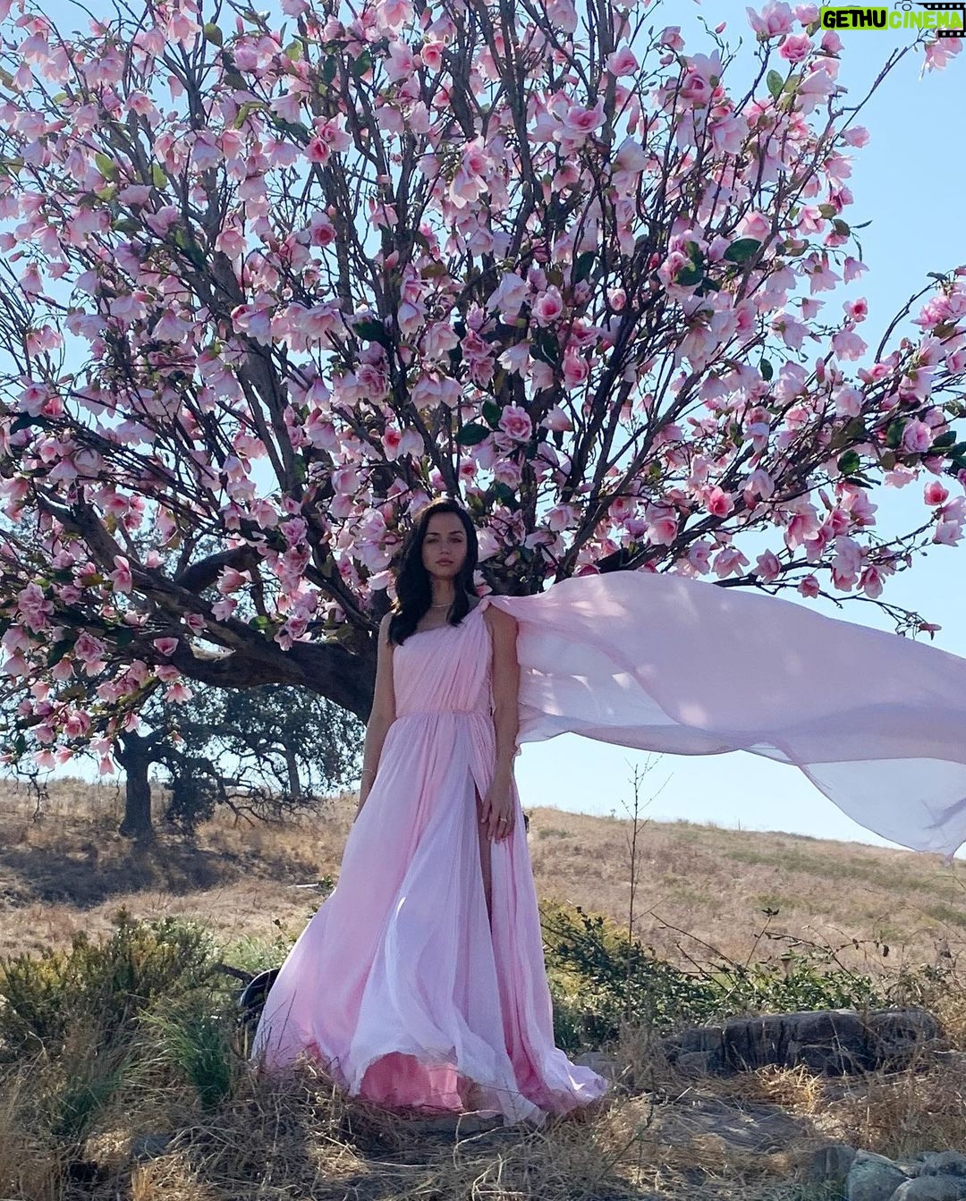 Ana de Armas Instagram - Take me back 🌸 #BeautifulMagnolia @esteelauder #EsteeGlobalAmbassador