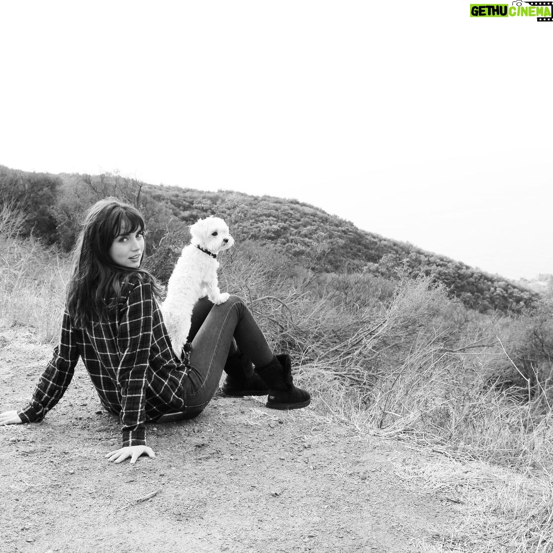 Ana de Armas Instagram - Happy birthday my sweet Elvis! It’s been 12 years full of adventures, always together. I love you! 🦴♥️🐶🎉