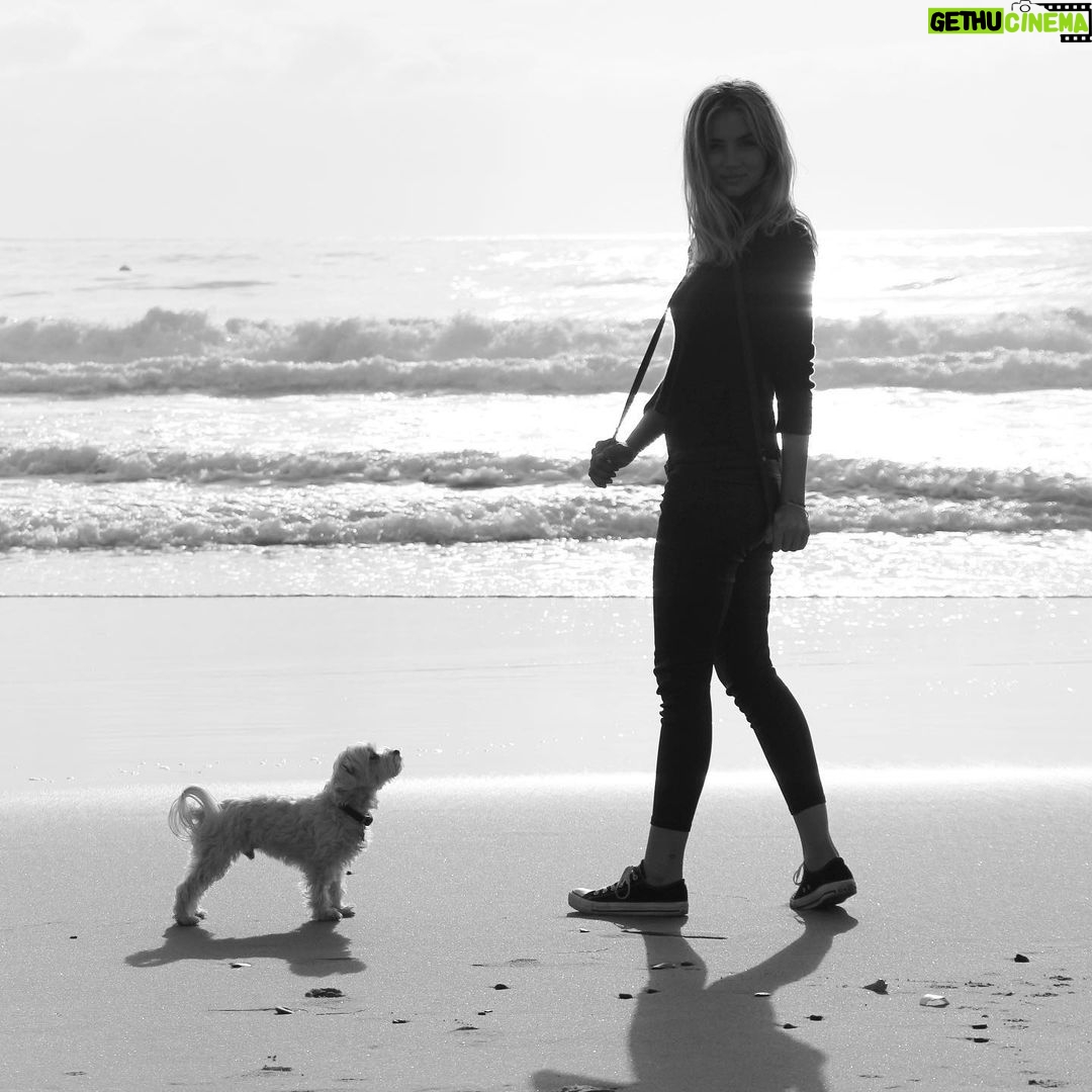 Ana de Armas Instagram - Happy birthday my sweet Elvis! It’s been 12 years full of adventures, always together. I love you! 🦴♥️🐶🎉