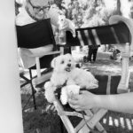 Ana de Armas Instagram - Happy birthday my sweet Elvis! It’s been 12 years full of adventures, always together. I love you! 🦴♥️🐶🎉