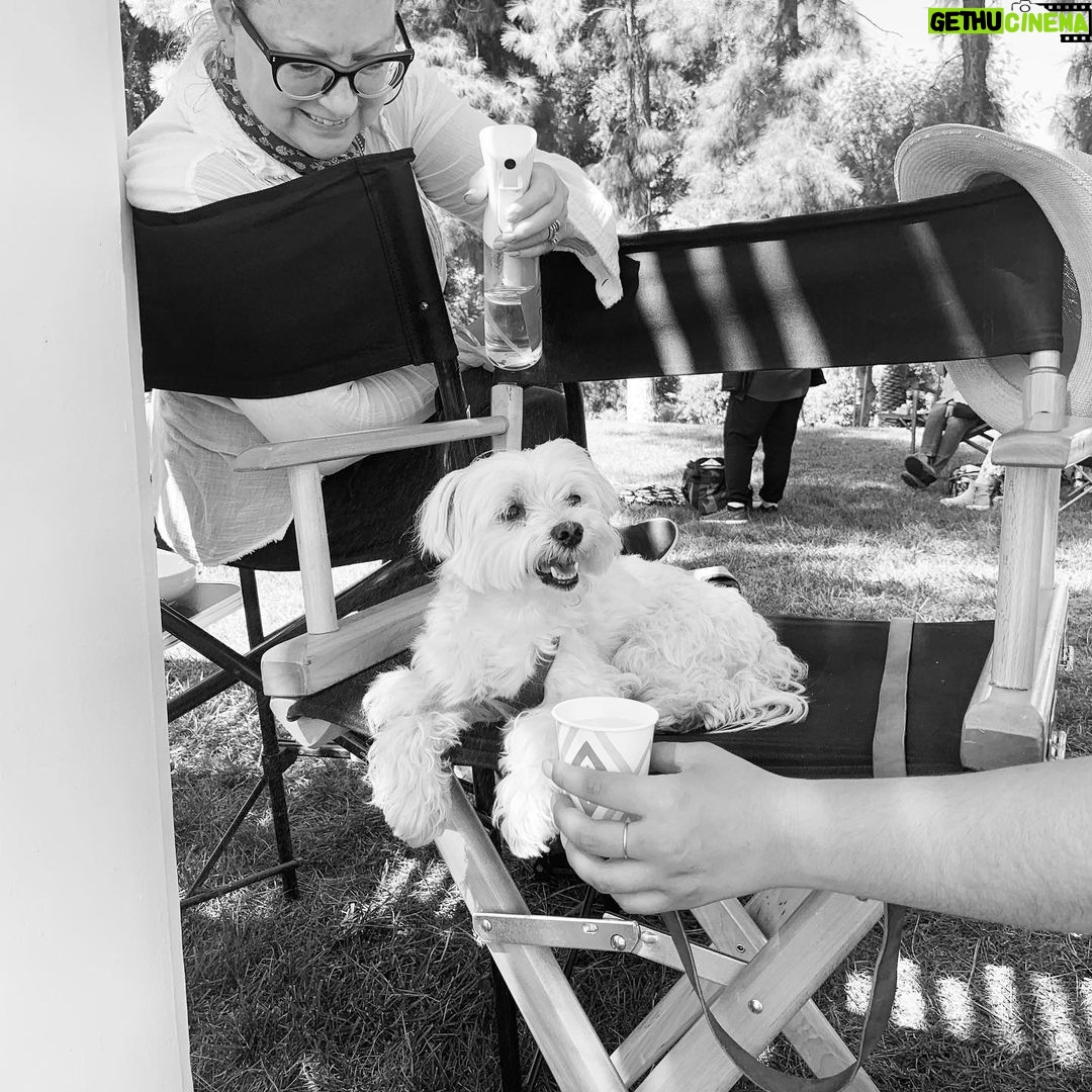 Ana de Armas Instagram - Happy birthday my sweet Elvis! It’s been 12 years full of adventures, always together. I love you! 🦴♥️🐶🎉