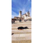 André Gabeh Instagram - Hoje é dia de SÃO FRANCISCO DE ASSIS e há quatro anos, em um Outubro luminoso e outonal da Itália estava eu, pobríssimo, mas cheio de pose, em Assis, terra de São Chiquinho o lindo amigo dos bichinhos. Lembram dessa viagem? Foi um presente de amigos maravilhosos e só pude estar lá graças a eles e às pessoas que contribuíram com um little cow que fiz pra não ir viajar sem dindin. Sou muito grato até hoje. Pobre? Sim. Mas na Itália. Deu tudo certo e meus amigos são tão generosos que vivi dias de realeza. Um brinde aos que alegram os outros intencionalmente. Lembro da paz desse lugar, da gentileza das pessoas, dos vendedores educadíssimos. De andar por lugares tão cheios de história. Desse céu de um azul em síntese. Da temperatura carinhosa. Passarinhos muito alheios a nossa mediocridade voavam por entre as mundanidades. Tudo lindo de fazer sorrir. Na foto minha performance mundial conhecida como #andrétombado #andretombado #andrétombadopelomundo Cliquem na hashtag e conheçam outras imagens. Que saudade de viajar pelo mundo. @luciobr te amarei para sempre. Assis, Italia