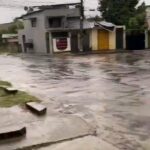 André Gabeh Instagram – Isso é tão a minha cara que se a sereia maravilhosa @nandogald não fosse uns quarenta quilos mais magro eu acharia que sou eu.

PURO CINEMA

Agora eu preciso de um rabo de sereia pra mim.  Será que tem tamanho jubarte???

#mermaid #sereia #sereias #siren #sirena #love #purosucodebrasil