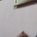 André Gabeh Instagram - Eu e mamãe em uma Ave Maria súbita. Não compartilho coisas tão íntimas, mas há uma benção aqui. Sei lá. E a gente canta meio que imitando as cantoras dos anos 40, exagerando os "erres' e "esses". Crochê. Cantiga. Casa com cheiro de Bepantol (longa e constrangedora história). Poesia suburbana torta como um galho de samambaia que a rolinha usou pra fazer ninho. #love