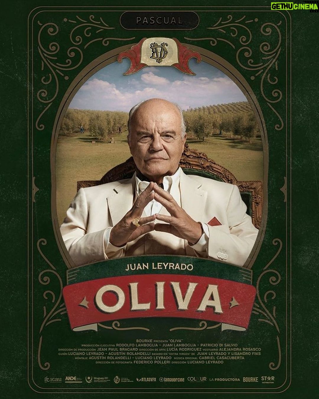Andrea Frigerio Instagram - Feliz de anunciar el estreno de mi nueva Película! #OlivaPelicula 7 de Septiembre Sólo en Cines 📽️ Una Película Dirigida por @lucho_leyrado Protagonizada por: @juanleyrado @andreafrigeriook @rominafernandes.ok @nachotoselli Con: @pablo_musetti @ornecattaneo y @devargashumberto Guión : @lucho_leyrado y @rolandellia Producida por @bourke_films Distribución: @stardistributionla Basada en Extra Virgen de @lisandrofiks y @juanleyrado
