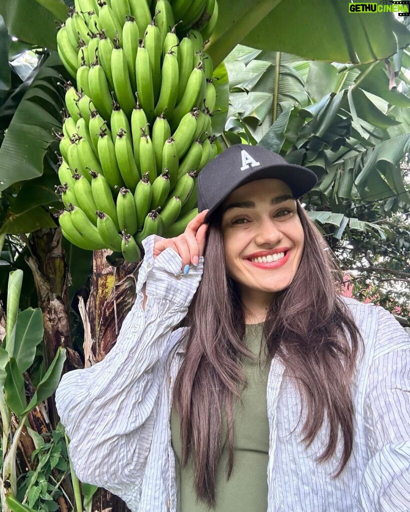 Andrea Kalousová Instagram - Tak my jsme ubytovaný. 😎 Banánky, avokádo i limetky nám rostou na zahradě. 🙊 Odpo jdem vomrknout město 👀 Už víte který?