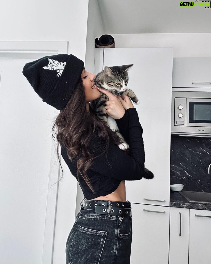 Andrea Kalousová Instagram - Někomu chybí kočky a někomu čepice! 😅 Jakej tým jseš ty? 💁🏻‍♀️ @chybimikocky Prague, Czech Republic