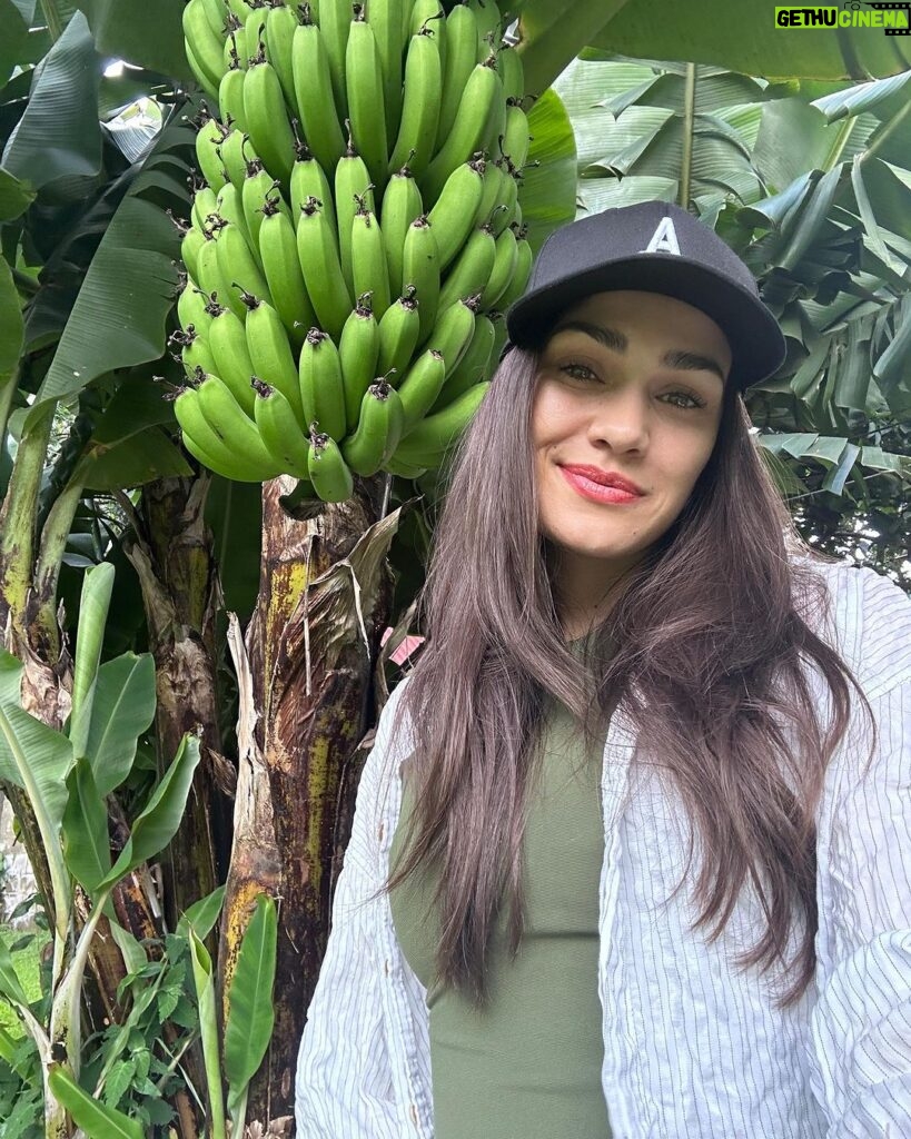 Andrea Kalousová Instagram - Tak my jsme ubytovaný. 😎 Banánky, avokádo i limetky nám rostou na zahradě. 🙊 Odpo jdem vomrknout město 👀 Už víte který?