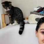 Andrea Kalousová Instagram - Tak jo, oficiálně vám představuji třetího člena naší rodiny. Seznamte se. To je Chicco. 🙊💁🏻‍♀️ Je všude se mnou. Když říkám všude, tak myslím všude. 👉😄 Je to miláček. Bála jsem se druhé kočičky. Jak si sednou s Tigi a tak, ale už teď vidím, že budou nerozlučný parťáci. #ufíček Jako jasný obešla bych se bez Tiginy pomsty u mě v posteli, to jako jo. 💩🤣 Každopádně přísahám, že druhou kočičkou jsem skončila… Kamarádi mají o mě trochu strach. 😅😅😅 Ale tak jaký by to asi bylo mít těch koček třeba pět? 🤣 Haha Prague, Czech Republic