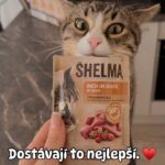 Andrea Kalousová Instagram - Ať už na Vánoce nebo po cely rok. Moje kočičky dostávají to nejlepší. Protože když velký podíl masa v krmeni, tak Shelma. ♥️ @shelmacz Prague, Czech Republic