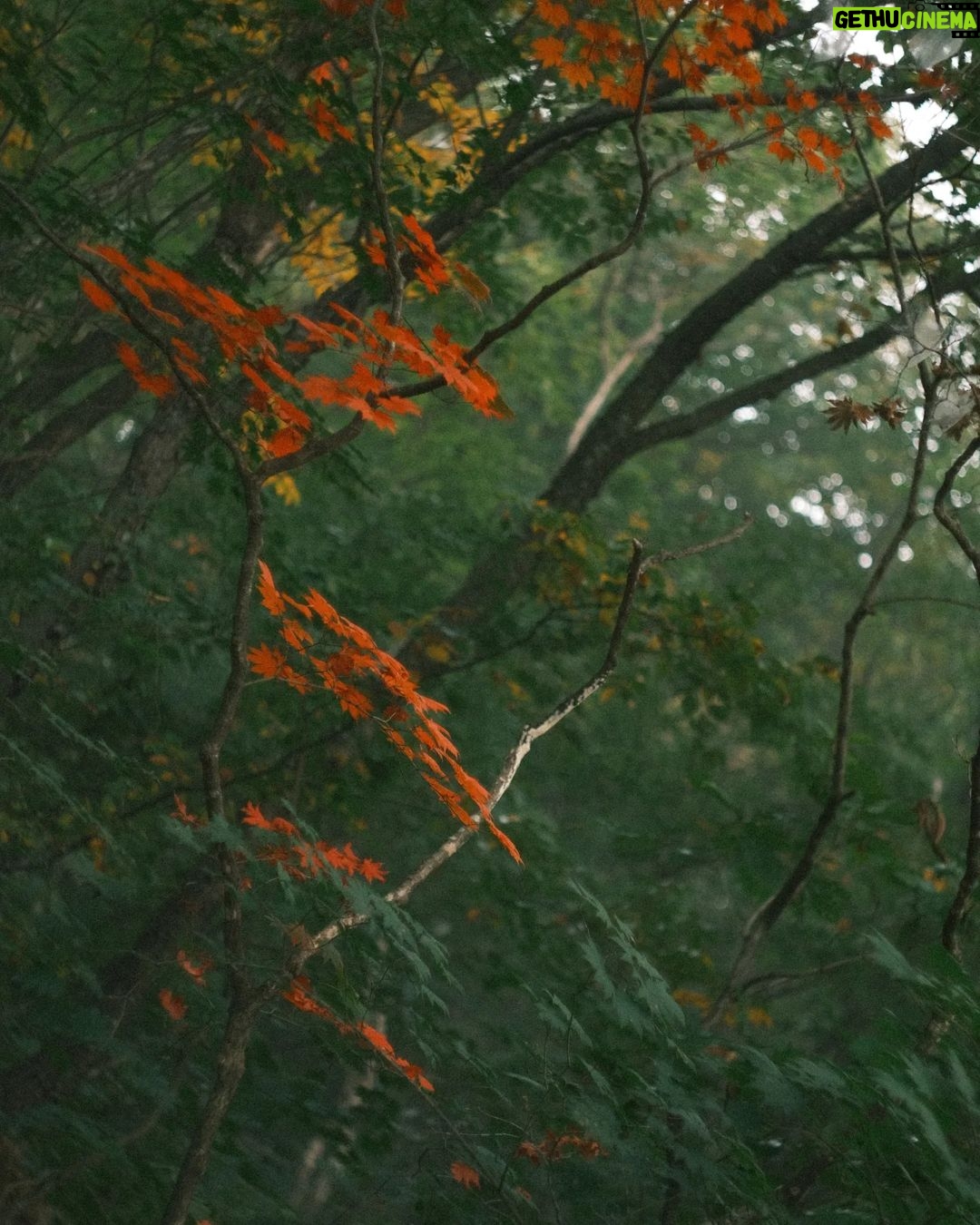 Andreas Varsakopoulos Instagram - October/November