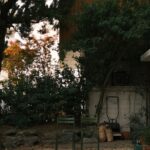Andreas Varsakopoulos Instagram - October/November