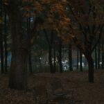 Andreas Varsakopoulos Instagram - October/November
