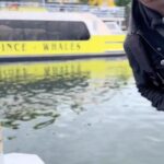 Andrew Francis Instagram - Come on a little whale watching adventure with us in #Vancouver 🐋🐳 . . #whales #whalewatching #contentcreator #vancouvercontentcreator #vancouver #vancity #granvilleisland Vancouver, British Columbia