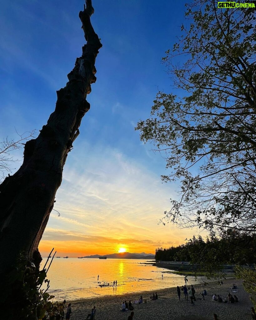 Andrew Francis Instagram - Vancouver’s been showin’ off lately… ☀️ #vancouver #seawall #vancouverseawall #BritishColumbia #Canada #Sunset Vancouver, British Columbia