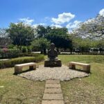 Andrew Francis Instagram - What an amazingly transformative week at @rythmia_ 🌱 I’m feeling lighter, happier and so ready to take on this next chapter. All the gratitude in the world to the amazing souls from this past week 🙏🙏🙏 #Grateful #rythmia #rythmialifeadvancementcenter Costa Rica