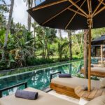 Andrew Francis Instagram - BALI 2024 ✨FULL MOON RETREAT Embark on an unforgettable journey with us in magical Bali, Indonesia, in May 2024 🌴 @zendenretreats Join our second retreat, spanning 7 days and 6 nights, as we unlock your hidden potential and rekindle the inner radiance within. Explore our detailed itinerary, the exquisite villas nestled in the heart of Bali’s Ubud, and the array of extraordinary adventures and experiences through our website zendenmeditation.com 🌟 For a sneak peek into the enchanting vibes of our previous retreat in Tulum, visit @zendenretreats instagram reels Head to our website zendenmeditation.com to sign up ✨Early Bird discounts end January 1st (only a few rooms are available at the discounted rate)💫 Testimonials: “That trip changed my life. Something shifted I can feel it so much. I will never ever forget the feelings I felt” — JUSTIN - TULUM 2023 Retreat attendee “I am happy about my attitude and focus going forward. I feel refreshed and renewed. Throughout this retreat, I was able to let go of all the heavy baggage that I had been carrying with me.” — JAMIE - 2023 TULUM Retreat attendee . . . #zendenretreats #retreat #wellnessretreat #travel #baliretreat #soundbath #reiki #breathwork #vacation