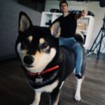 Andrew Neighbors Instagram - Me: Dracarys!! Arbor: no.
