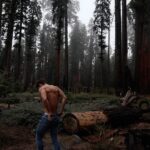 Andrew Neighbors Instagram - Some of my friends and I went to sequoia last week. Made a YouTube videos if you’re bored. Link in my bio. 🌱Ily Sequoia National Park, California