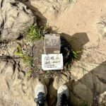 Andy Bian Instagram – 最近因為工作不能跑太遠的關係，
發現在市區爬山、看書、整理菜園也是很不錯的充電選擇。
大家休假都怎麼充電呢😳