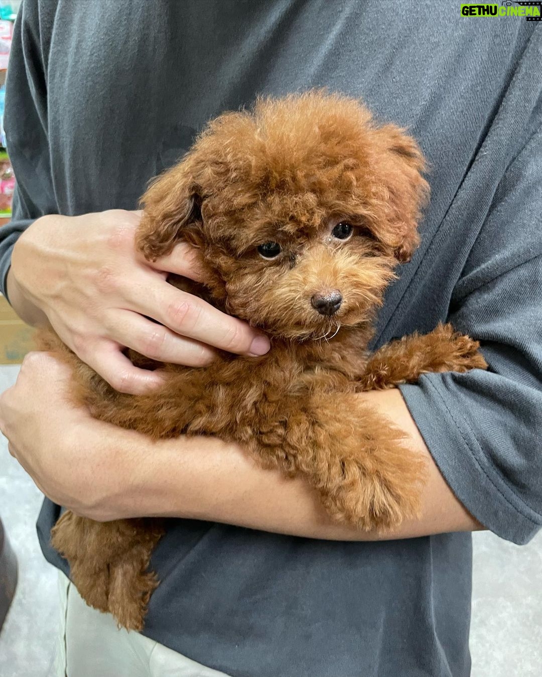 Andy Bian Instagram - 你是貓派還狗派~ 不管什麼派,他們永遠都是你一輩子的小孩唷❤️❤️❤️ #5M #13Y
