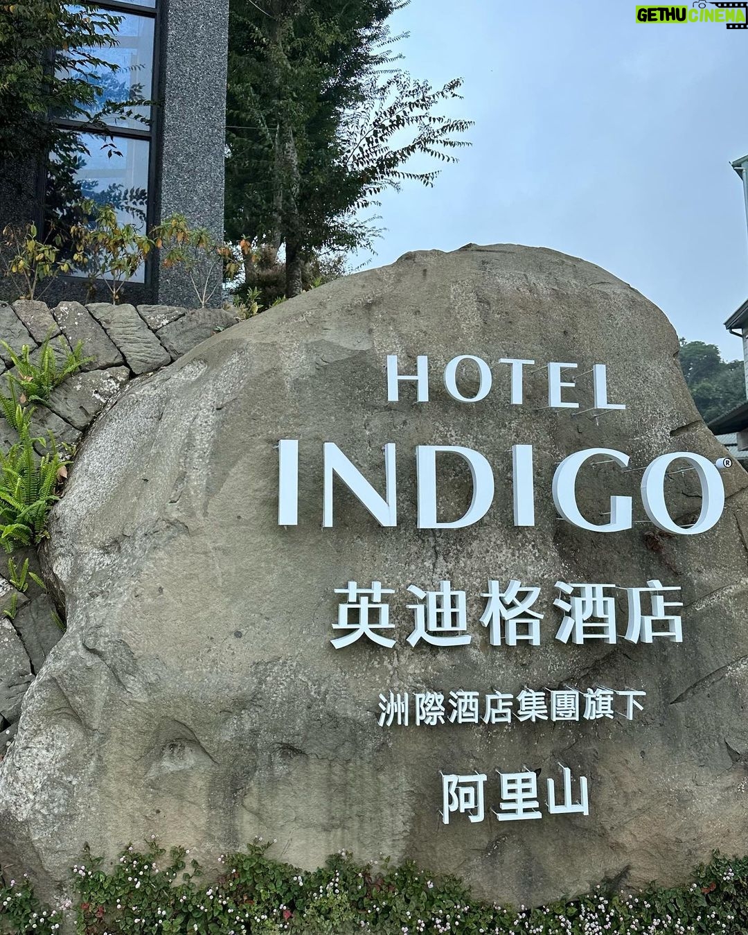 Andy Bian Instagram - 疲倦的時候大家都如何舒壓呢? 來場小旅行,到處吃吃喝喝,好像就是我最喜歡的方式啦😳 #台南 #阿里山