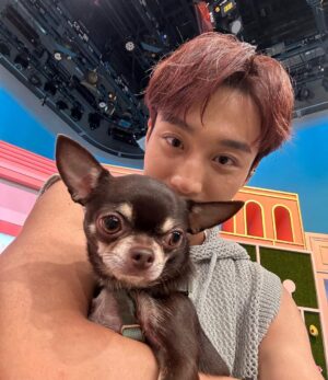 Andy Bian Instagram - 被寵物融化的每一個瞬間～
看到小動物就⋯⋯完全戀愛了❤️
#小情人們快樂
