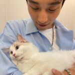 Andy Bian Instagram – 被寵物融化的每一個瞬間～
看到小動物就⋯⋯完全戀愛了❤️
#小情人們快樂