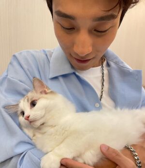 Andy Bian Instagram - 被寵物融化的每一個瞬間～
看到小動物就⋯⋯完全戀愛了❤️
#小情人們快樂
