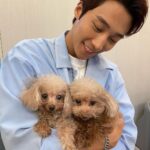 Andy Bian Instagram - 被寵物融化的每一個瞬間～ 看到小動物就⋯⋯完全戀愛了❤️ #小情人們快樂