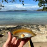 Andy Bian Instagram - 荒島求生記。自己的午餐自己來！ 回歸原始生活，連料理都直接在船上，一切都那麼的自然又純粹💪🏻 我問當地原住民為什麼不背氣瓶下去，他回說，他可以自潛30m 5min，就是氣瓶本人，真的是太強了！ 烤魚、螃蟹、泥龍蝦、巨型蛤蜊、黃金珍珠，海島生活真的太完美了❤️ BTW 回去要好好練一下free diving🤿 #世界第一等 #科隆 #自給自足 @worlds_no_1_gtv 科隆島
