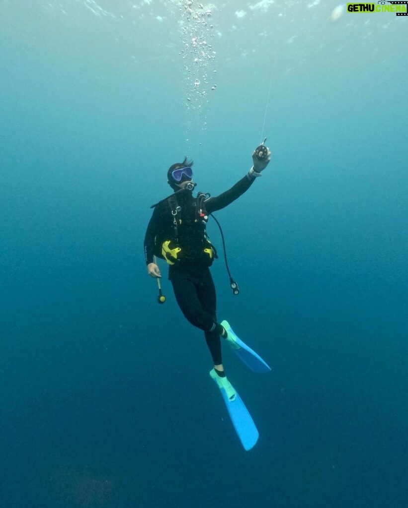 Andy Bian Instagram - 人家都說會運動的男人最帥，因為當你專注在喜歡的事物上，自然而然就會發光！ 順利把證照都考完，明年出發來去看大景🤩🤩🤩 #ow #aow #高氧潛水員 #豆丁海馬 #潛水 #恆春 #東港