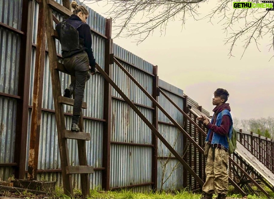 Angel Theory - 23.1K Likes - ❤️🧟
#twdpd