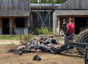 Angel Theory Instagram - ❤️🧟

#twdpd