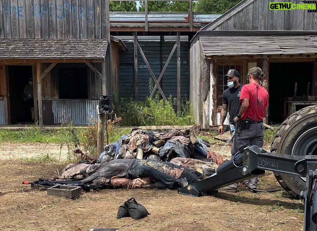 Angel Theory - 23.1K Likes - ❤️🧟
#twdpd