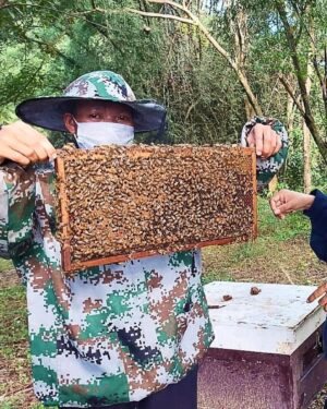 Angelina Jolie Instagram - On World Bee Day, I am happy to support the Women For Bees initiative, to promote sustainable beekeeping practices and female entrepreneurship. 

Since 2010 the MJP Foundation in Cambodia has worked with local women in Samlout to generate income and employment using sustainable wild honey-harvesting techniques. However, recurring forest fires and increases in pesticide use nearby destroyed wild honey sites, dropping production dramatically. Now, alongside UNESCO and Guerlain, the MJP Foundation trains local communities on farming and raising bees to produce honey.

#MJP #WomenForBees #UNESCO #WorldBeeDay #GuerlainforBees
📷 @DanWintersPhoto
