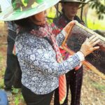 Angelina Jolie Instagram - On World Bee Day, I am happy to support the Women For Bees initiative, to promote sustainable beekeeping practices and female entrepreneurship. Since 2010 the MJP Foundation in Cambodia has worked with local women in Samlout to generate income and employment using sustainable wild honey-harvesting techniques. However, recurring forest fires and increases in pesticide use nearby destroyed wild honey sites, dropping production dramatically. Now, alongside UNESCO and Guerlain, the MJP Foundation trains local communities on farming and raising bees to produce honey. #MJP #WomenForBees #UNESCO #WorldBeeDay #GuerlainforBees 📷 @DanWintersPhoto