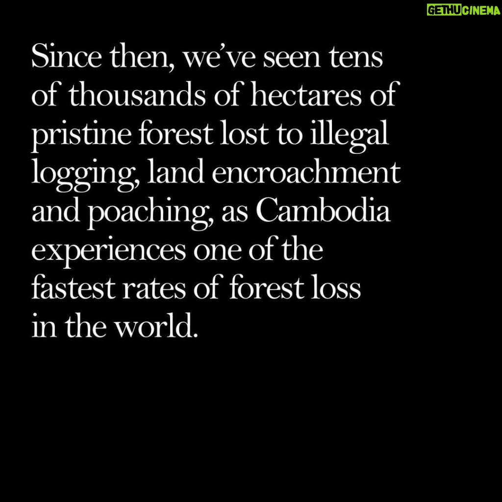 Angelina Jolie Instagram - We've launched a biodiversity survey with Flora & Fauna International to map the plants and animals still in the forest of Cambodia’s Samlout district as a baseline for their protection and conservation in the future, since we do not yet know how much endangered wildlife remains. It's just one example of the devastating impact of deforestation globally - and why world leaders must be held to their promises. #deforestation @faunafloraint Photo credit Image 1: Christian Pirkl Image 6: NASA Earth Observatory/Joshua Stevens