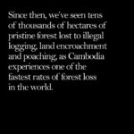 Angelina Jolie Instagram - We've launched a biodiversity survey with Flora & Fauna International to map the plants and animals still in the forest of Cambodia’s Samlout district as a baseline for their protection and conservation in the future, since we do not yet know how much endangered wildlife remains. It's just one example of the devastating impact of deforestation globally - and why world leaders must be held to their promises. #deforestation @faunafloraint Photo credit Image 1: Christian Pirkl Image 6: NASA Earth Observatory/Joshua Stevens