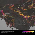 Angelina Jolie Instagram - We've launched a biodiversity survey with Flora & Fauna International to map the plants and animals still in the forest of Cambodia’s Samlout district as a baseline for their protection and conservation in the future, since we do not yet know how much endangered wildlife remains. It's just one example of the devastating impact of deforestation globally - and why world leaders must be held to their promises. #deforestation @faunafloraint Photo credit Image 1: Christian Pirkl Image 6: NASA Earth Observatory/Joshua Stevens