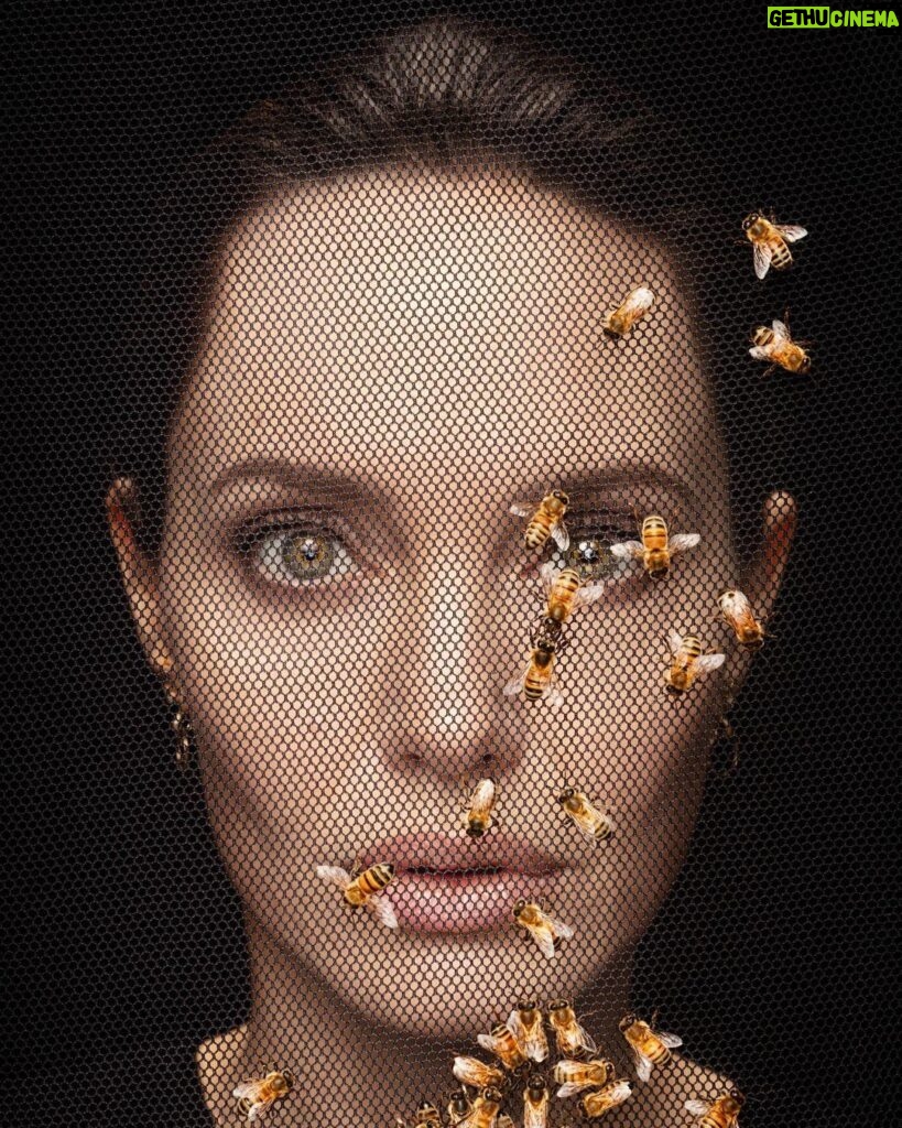 Angelina Jolie Instagram - On World Bee Day, I am happy to support the Women For Bees initiative, to promote sustainable beekeeping practices and female entrepreneurship. Since 2010 the MJP Foundation in Cambodia has worked with local women in Samlout to generate income and employment using sustainable wild honey-harvesting techniques. However, recurring forest fires and increases in pesticide use nearby destroyed wild honey sites, dropping production dramatically. Now, alongside UNESCO and Guerlain, the MJP Foundation trains local communities on farming and raising bees to produce honey. #MJP #WomenForBees #UNESCO #WorldBeeDay #GuerlainforBees 📷 @DanWintersPhoto