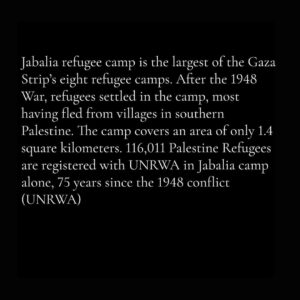 Angelina Jolie Instagram - This is the deliberate bombing of a trapped population who have nowhere to flee. Gaza has been an open-air prison for nearly two decades and is fast becoming a mass grave. 40% of those killed are innocent children. Whole families are being murdered. While the world watches and with the active support of many governments, millions of Palestinian civilians - children, women, families - are being collectively punished and dehumanized, all while being deprived food, medicine and humanitarian aid against international law. By refusing to demand a humanitarian ceasefire and blocking the UN Security Council from imposing one on both parties, world leaders are complicit in these crimes.