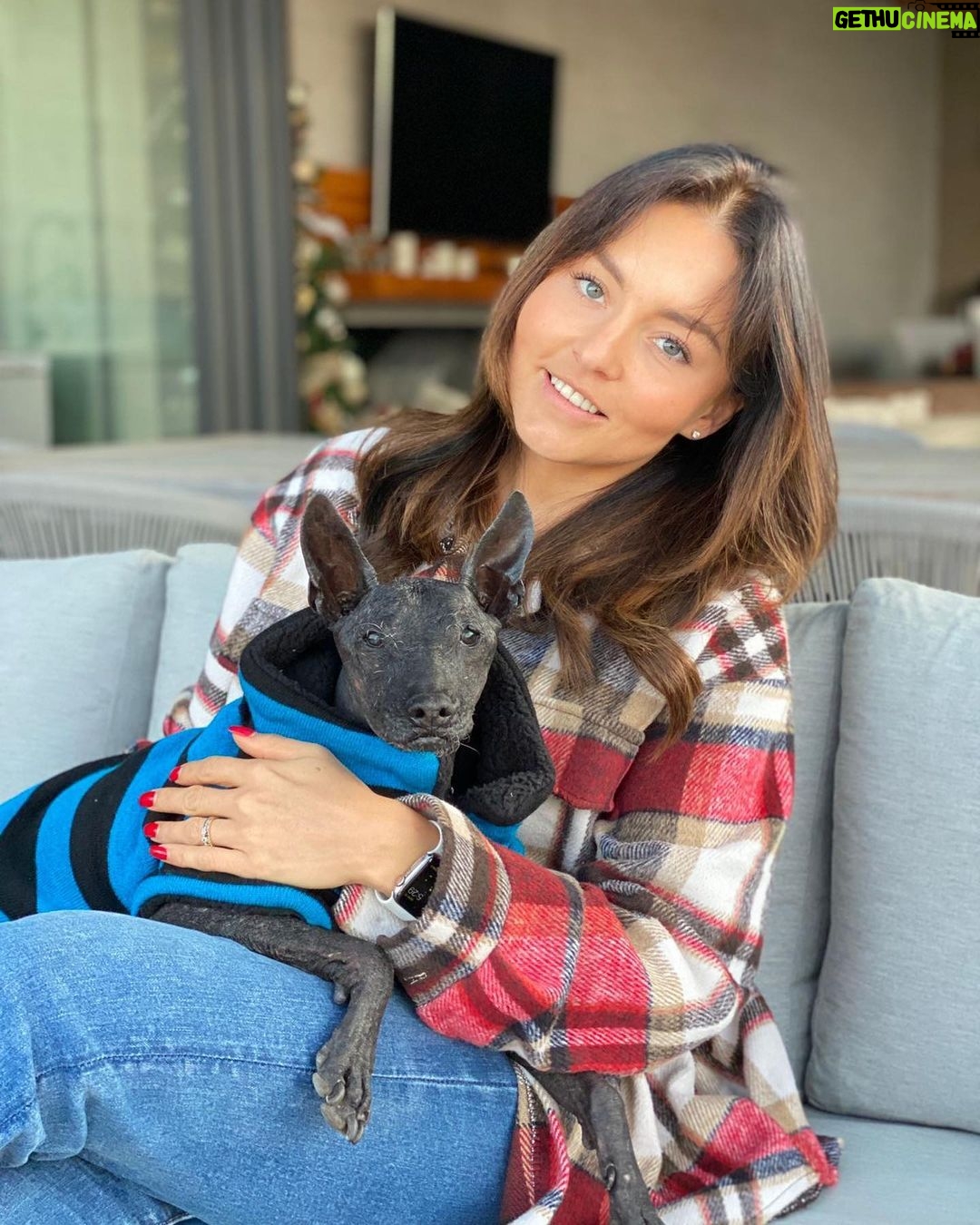Angelique Boyer Instagram - El Guapo 💙 Lo amo con locura ❤️ Gracias por esta foto amor @sebastianrulli y por compartirme a este bicho tan hermoso 🥰😍🤗 Home Sweet Home