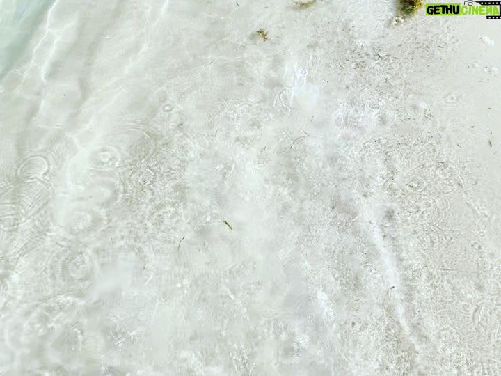 Angelique Boyer Instagram - Aquí viendo cómo se va el mes de julio, se celebró 🙏✨👋🥳😎🏖 😬🫣🫥 y llegamos a mitad del verano 2022 🤗🫠 así que a gozar al máximo 😃🙌✨🙏👏🥰🤗💋💋 📸 @sebastianrulli 🫠💋🙏❤️ #caribemexicano #verano2022 #rivieramaya #gratitud Riviera Maya México