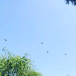 Angelo Mutti Spinetta Instagram - moodanza🚁🚁🚁🚁