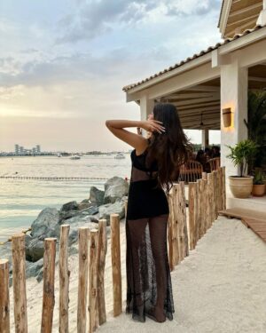 Anjini Dhawan Instagram - 🕊️