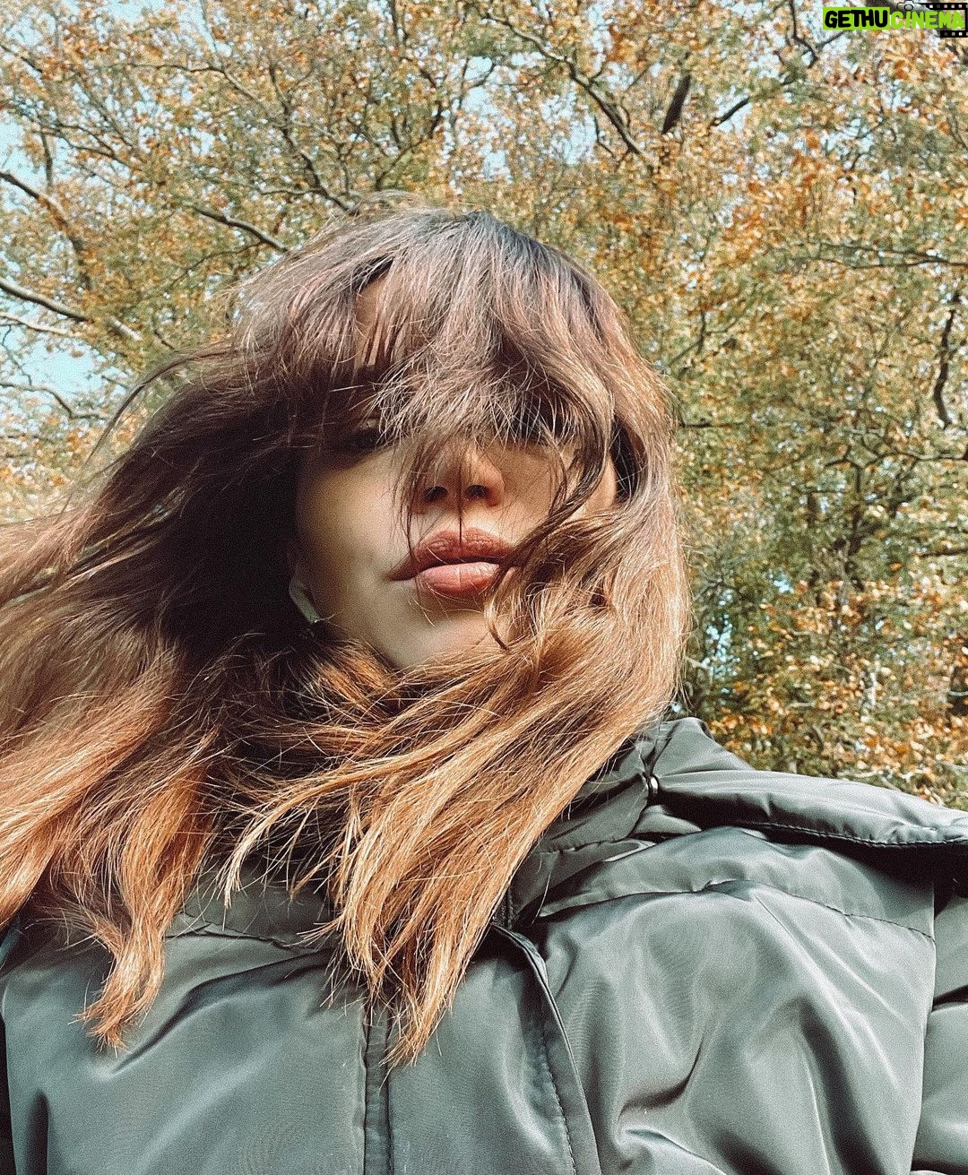 Anna Brewster Instagram - 🍂 Here we go again 🍁 🍂