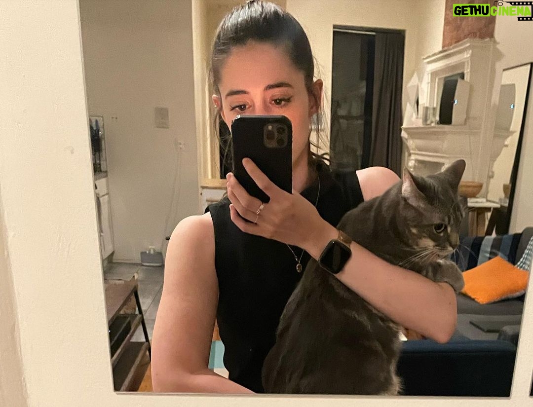 Anna Cain Bianco Instagram - CT and CaT New Haven, Connecticut